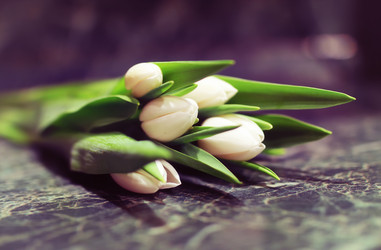 Similar image 20050418