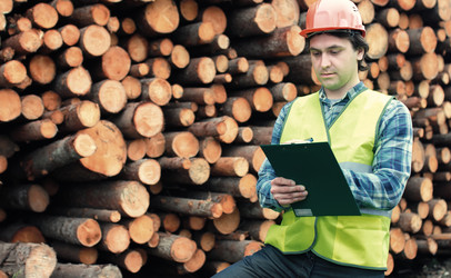 Similar image 20050460