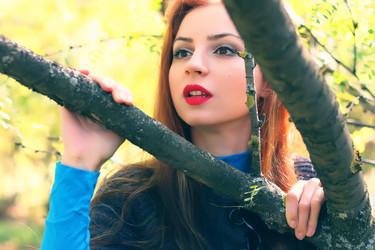 Similar image 20050468