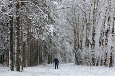 Similar image 20050481