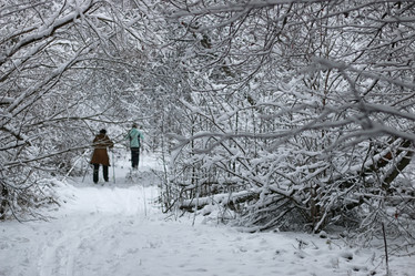 Similar image 20050487