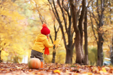 Similar image 20050516