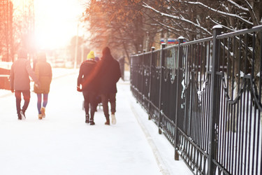 Similar image 20050533