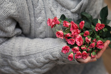 Similar image 20050588