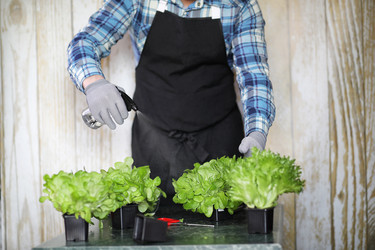 Similar image 20050594