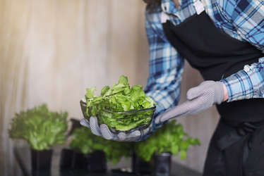 Similar image 20050596