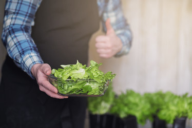 Similar image 20050597