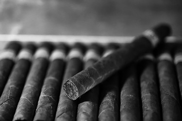 Similar image 20050601