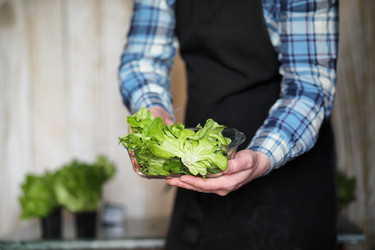 Similar image 20050603