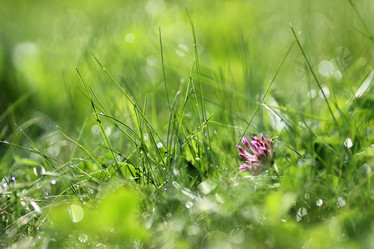 Similar image 20050628