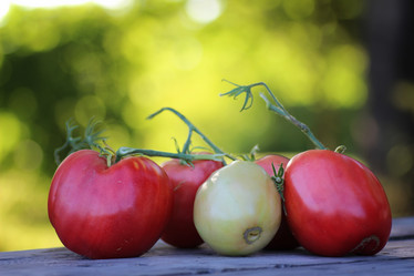 Similar image 20050645