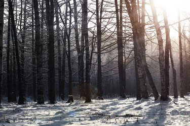 Similar image 20050660