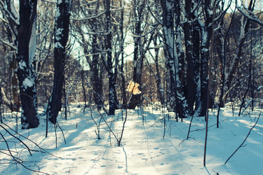 Similar image 20050664