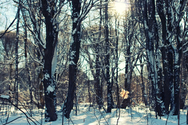 Similar image 20050665