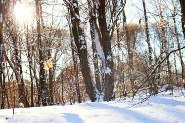 Similar image 20050667