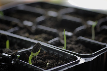 Similar image 20050675