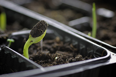 Similar image 20050676