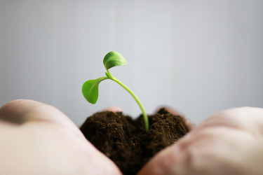 Similar image 20050748