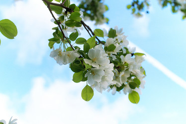 Similar image 20050797