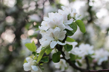 Similar image 20050799