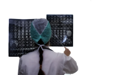 Similar image 20050811