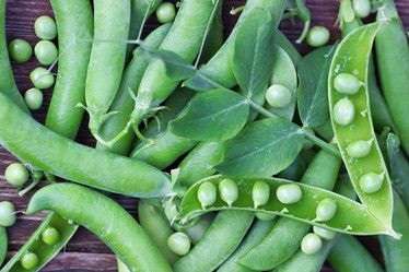 Similar image 20050815