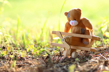 Similar image 20050816