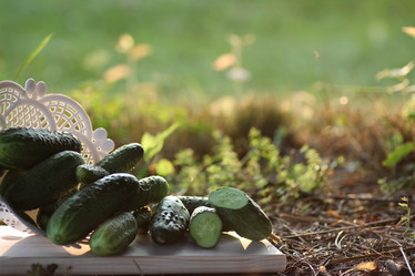 Similar image 20050822