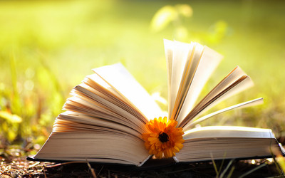 Similar image 20050823