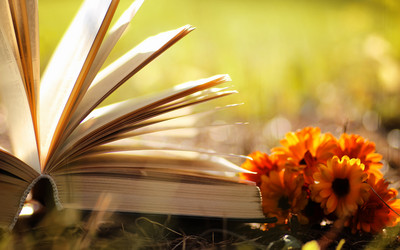 Similar image 20050824