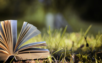 Similar image 20050826