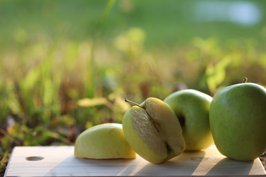 Similar image 20050829