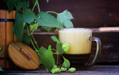 Similar image 20050831