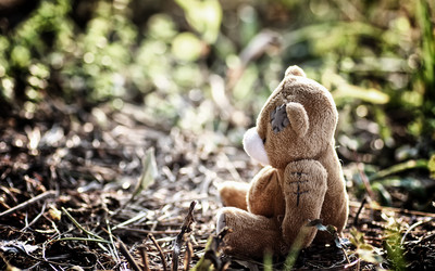 Similar image 20050846