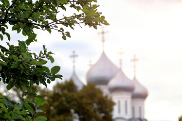 Similar image 20050862