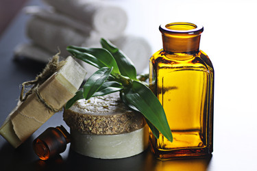 Similar image 20050868