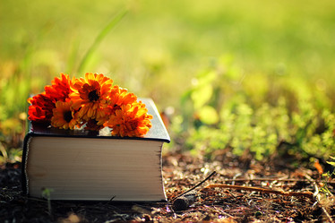 Similar image 20050869