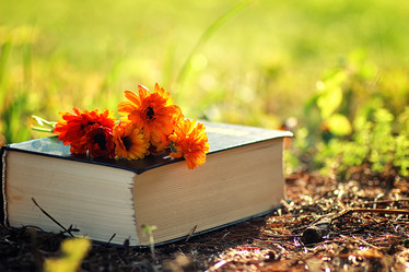 Similar image 20050870