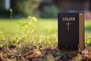 Similar image 20050872