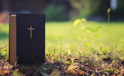 Similar image 20050873