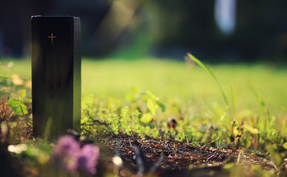 Similar image 20050874