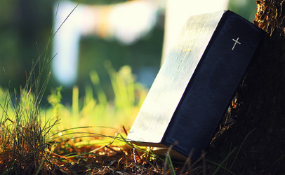 Similar image 20050876