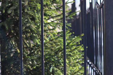 Similar image 20050879