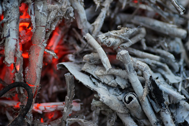 Similar image 20050880