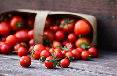 Similar image 20050882