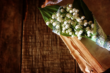 Similar image 20050892