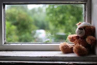 Similar image 20050901