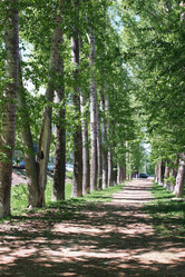 Similar image 20050908