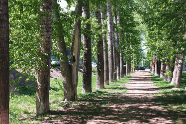 Similar image 20050910