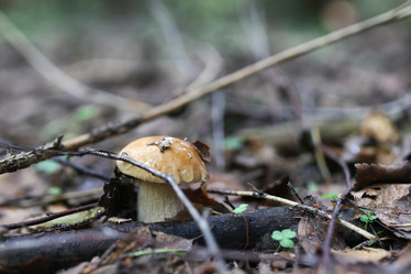 Similar image 20050919